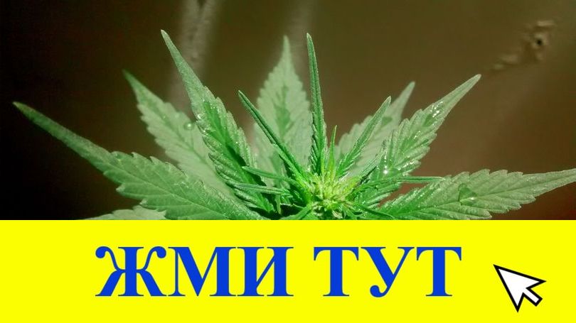 Купить наркотики в Талице